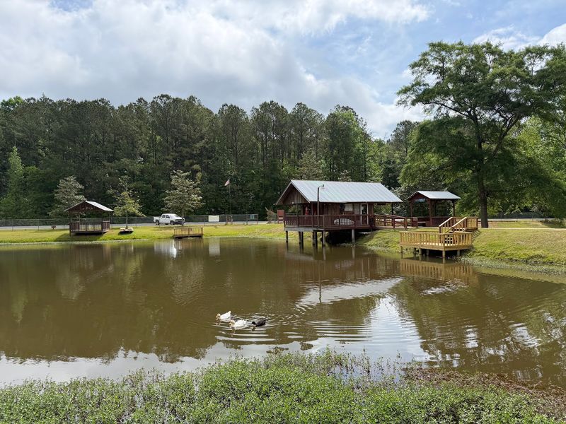 Picnic Tables, Grills, And Swings
