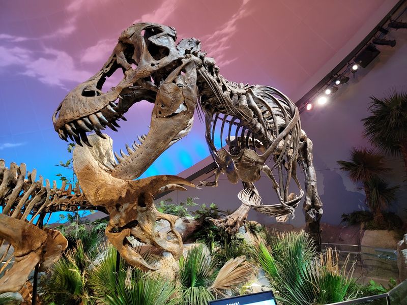 Real T. Rex Bones Are Waiting For You In Dinosphere