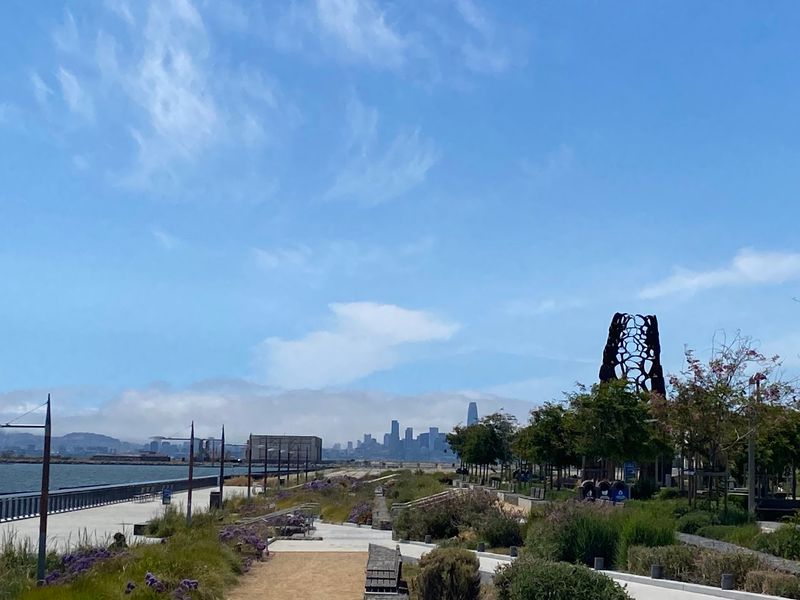 Skyline Views Across The Bay
