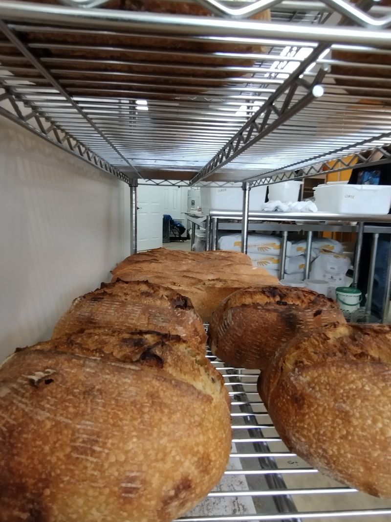 Gentler Bread for Sensitive Stomachs