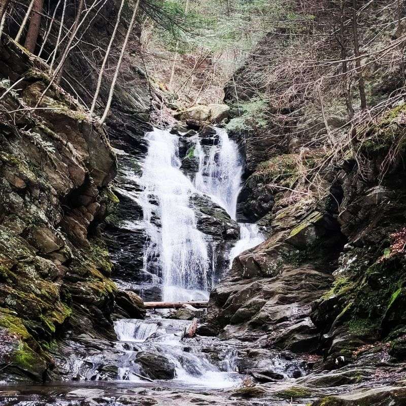 The Waterfall Steals The Show