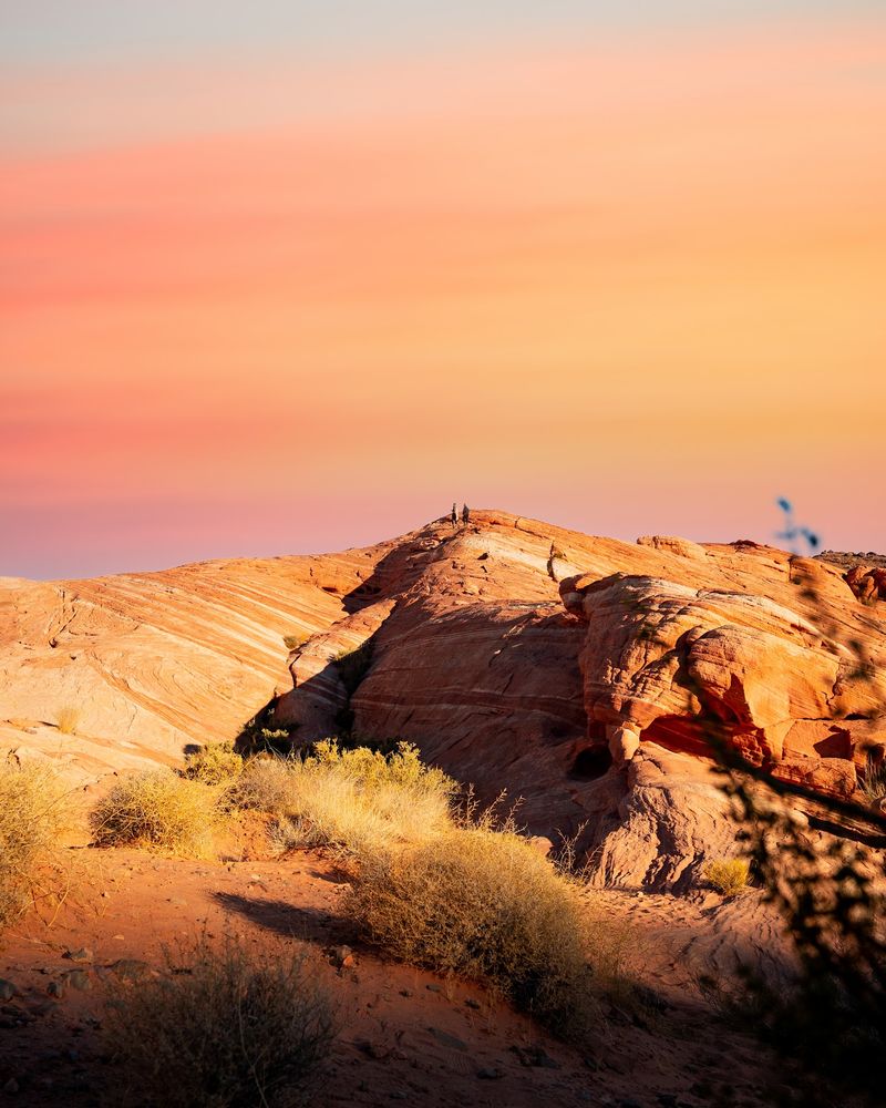 Chasing The Golden Hour Glow