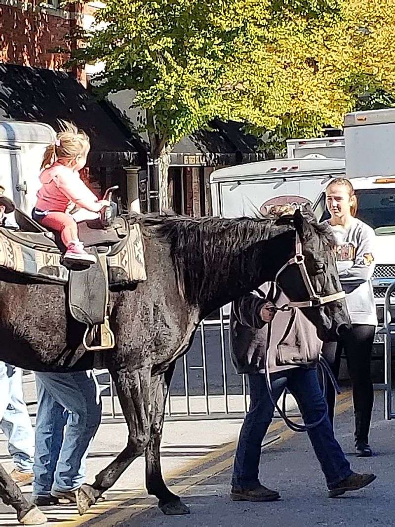 A Kid's Zone Full Of Furry Friends