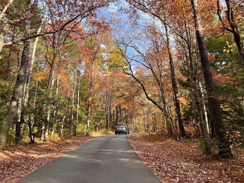 Cades Cove Loop Road, Great Smoky Mountains National Park