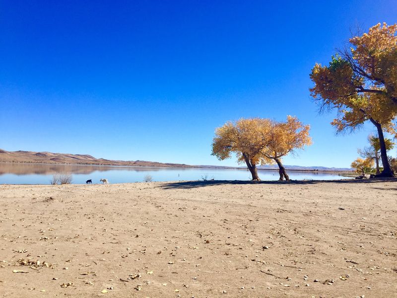 A Desert Reservoir That Feels Like A Surprise Vacation