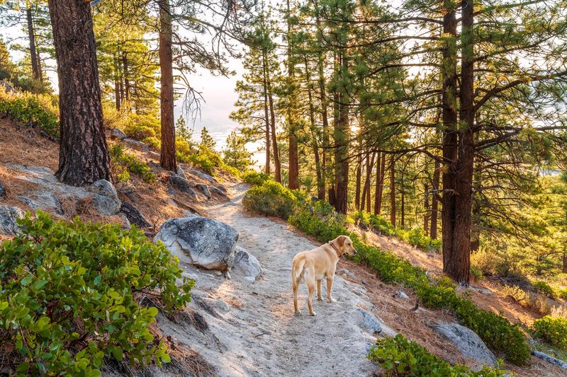 Davis Creek Regional Park