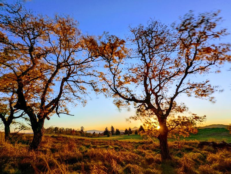 Powell Butte Nature Park, Portland, OR