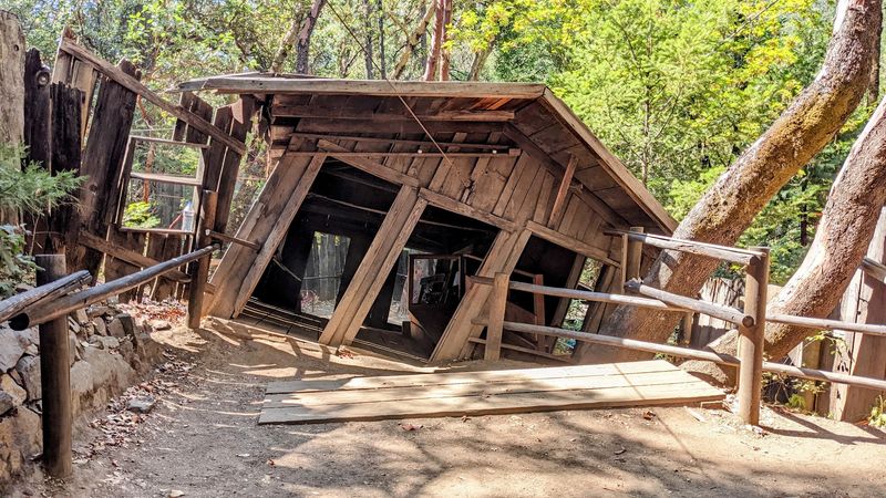 Sardine Creek L Fork Road (The Oregon Vortex), Gold Hill