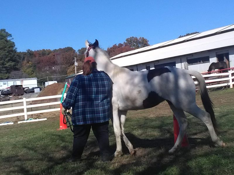 Grab Some Boots Because Volunteers Keep This Farm Running