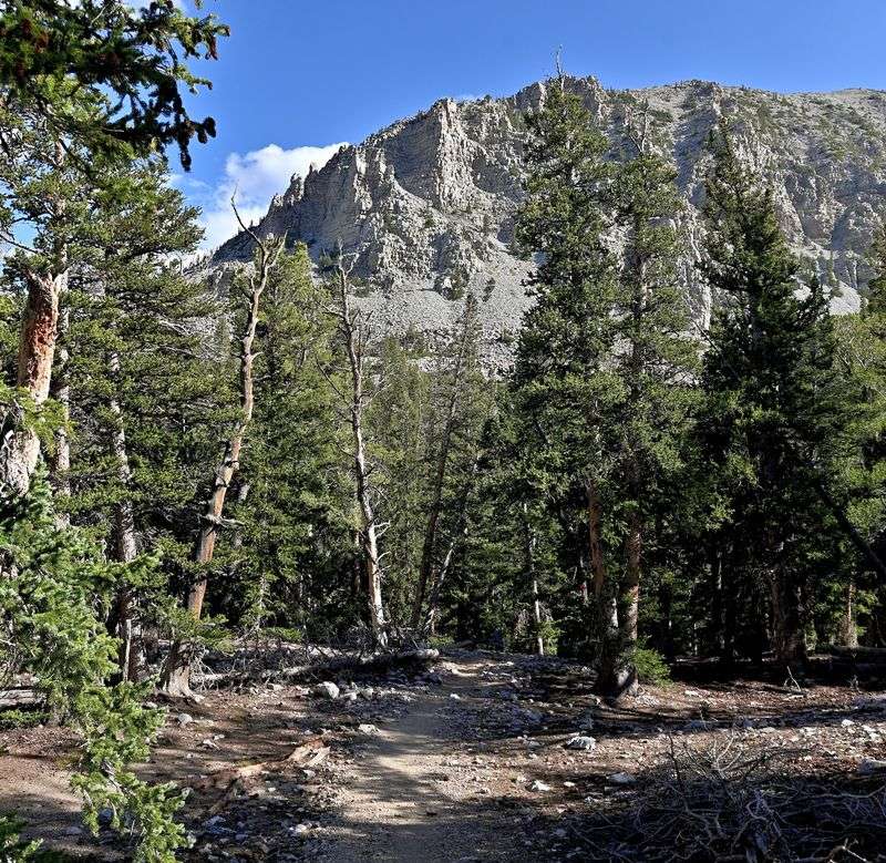 Caves, Visitor Centers, and Other Ways to Fill the Day
