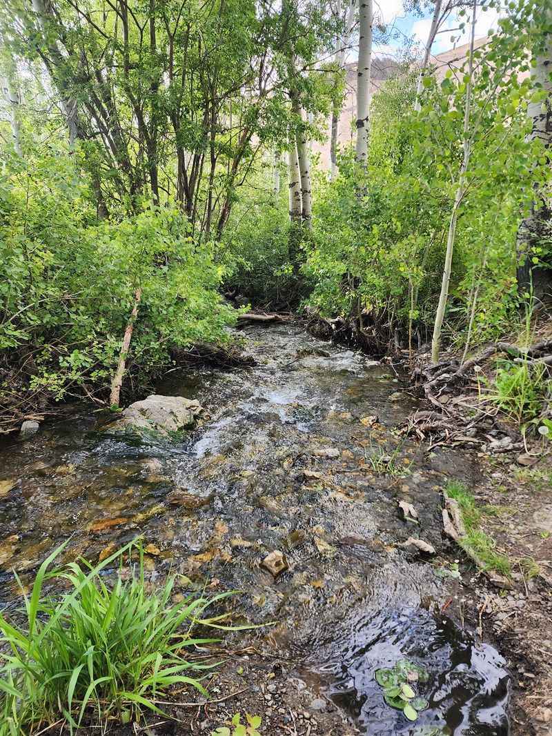 Follow Whites Creek And You Follow Winnemucca’s Story