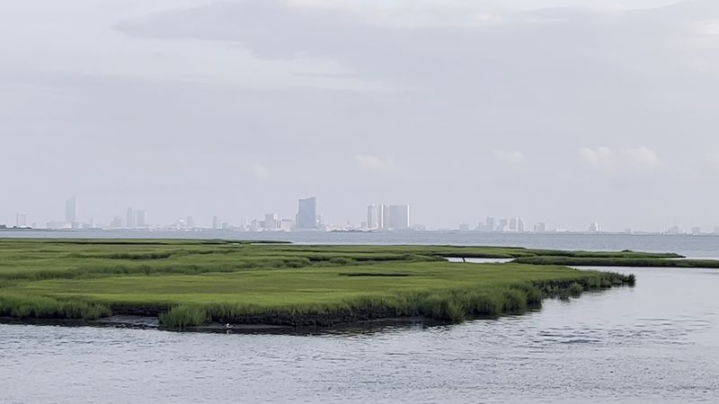 Climb Up High And Let The Marsh Spread Out Below