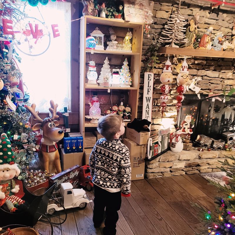 Meeting The Big Guy In Santa's Photo Workshop