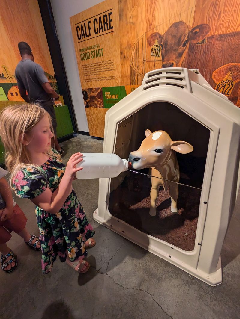Milk A Cow Without Getting Muddy
