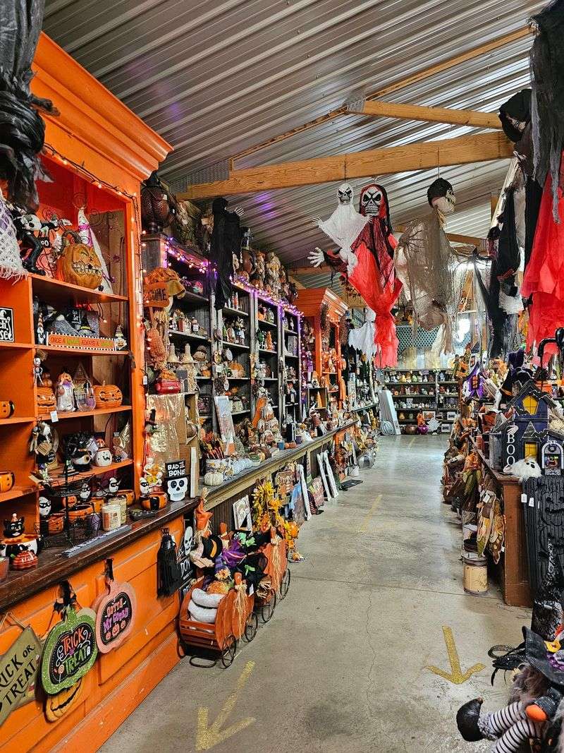 Halloween Treasures In The Farm Store