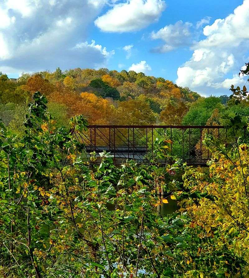 Grab A Paddle Or Hop On A River Tour