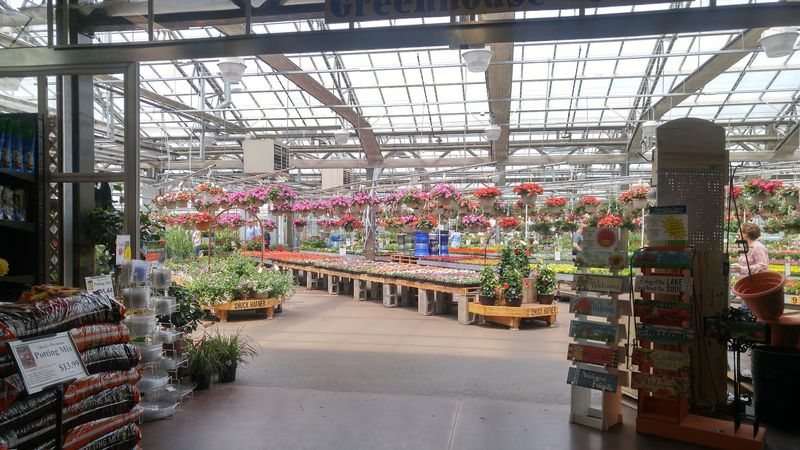 Decor That Grows On You
