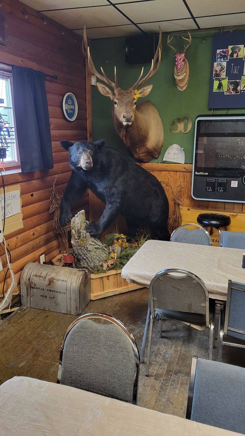 The Inside Feels Like A Northwoods Cabin Hangout