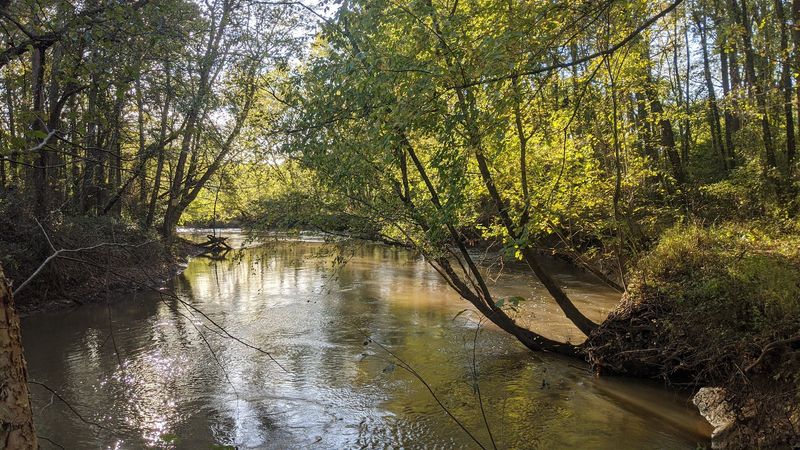Where The Wolf River Runs Free