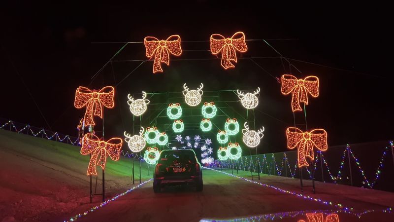 Millions Of Bulbs And Hundreds Of Scenes