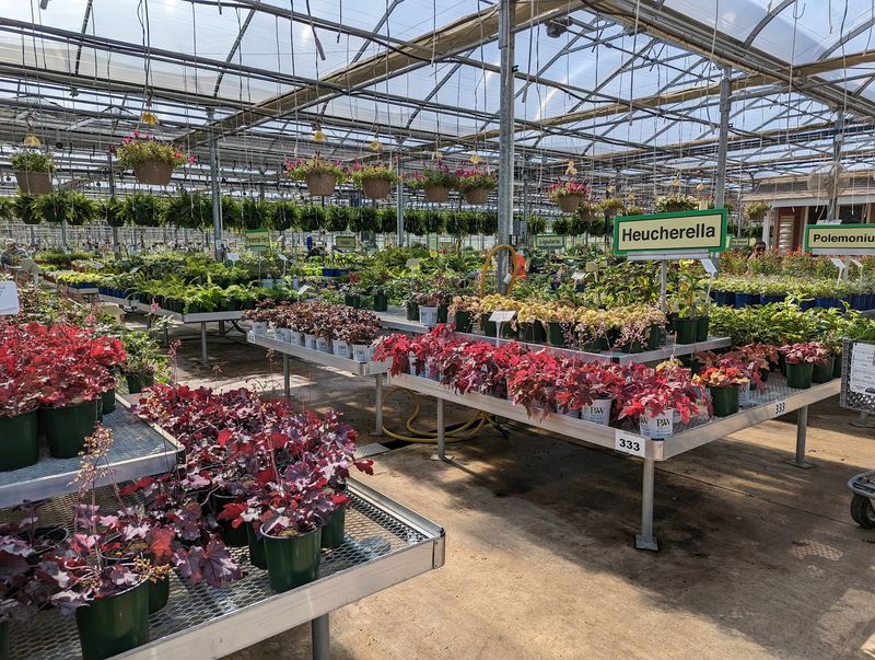 Spring Fever Turns Plant Shopping Into A Behind-The-Scenes Adventure