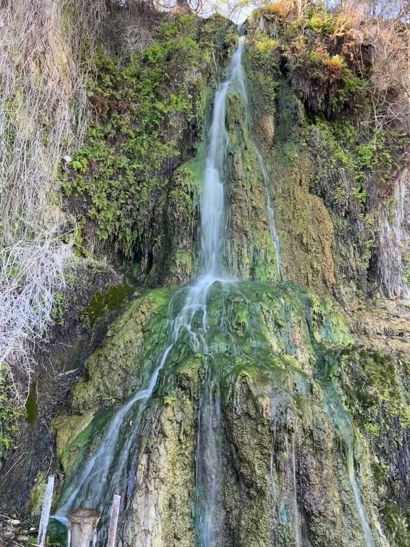 The Waterfall Steals The Show