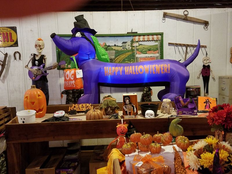 Fall Decor Shopping Happens Inside A Charming Barn