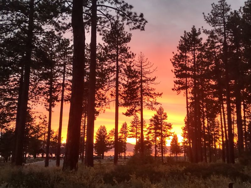 Quiet Pines, With Stateline Fun Just Minutes Away