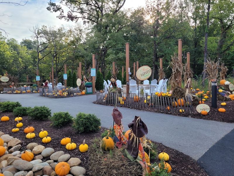 A One-Night Trick-Or-Treat Trail