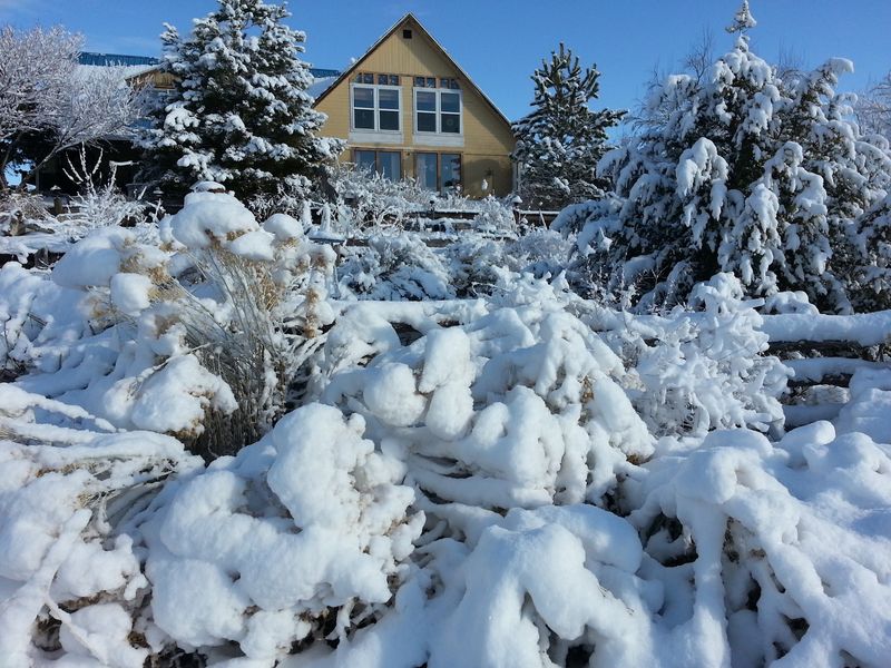 No Chemicals, Just Compost And Wood Chips Doing The Heavy Lifting