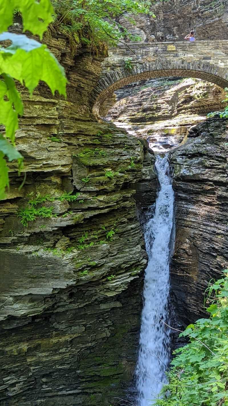 Watkins Glen