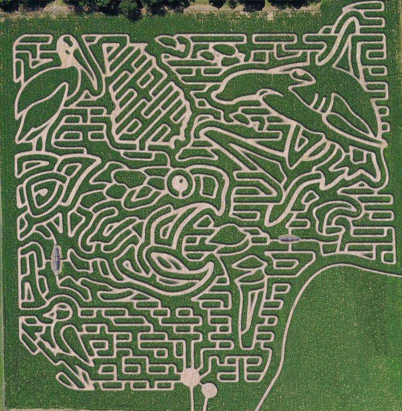 Fifteen Acres Of Twisting Corn Trails
