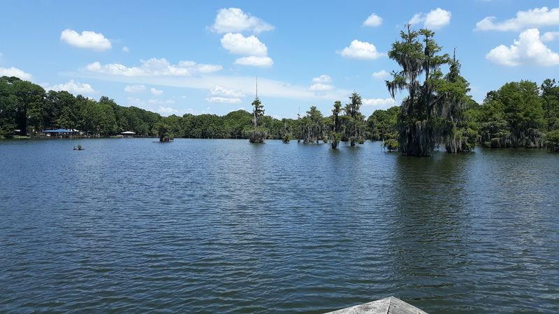The Scaly Residents Earned This Lake Its Wild Reputation