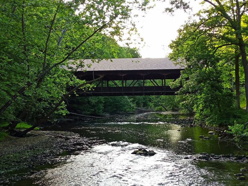 A Soft Verdict From the Riverbank