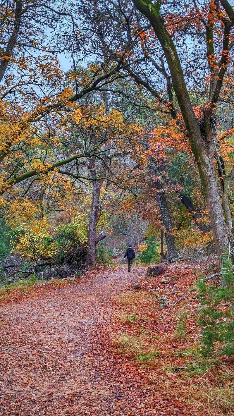 Why November Is The Month To Circle On Your Calendar