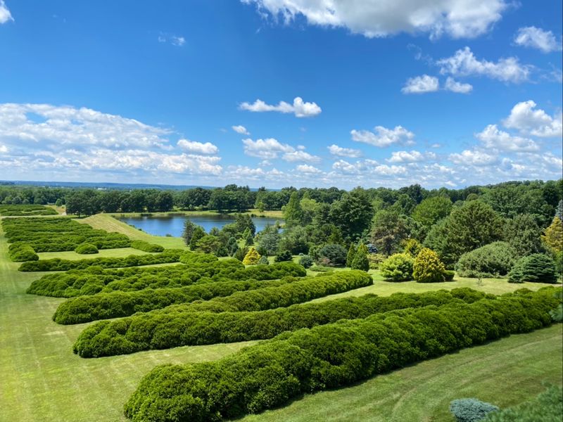 A Tree Museum in Licking County