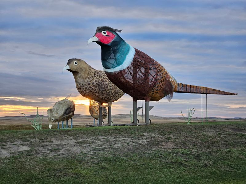 Start Under A Flock Of Giant Geese