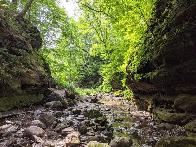 Parfrey's Glen State Natural Area