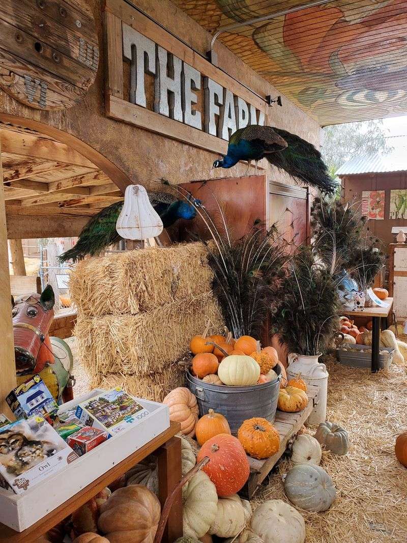 THE LAS VEGAS FARM