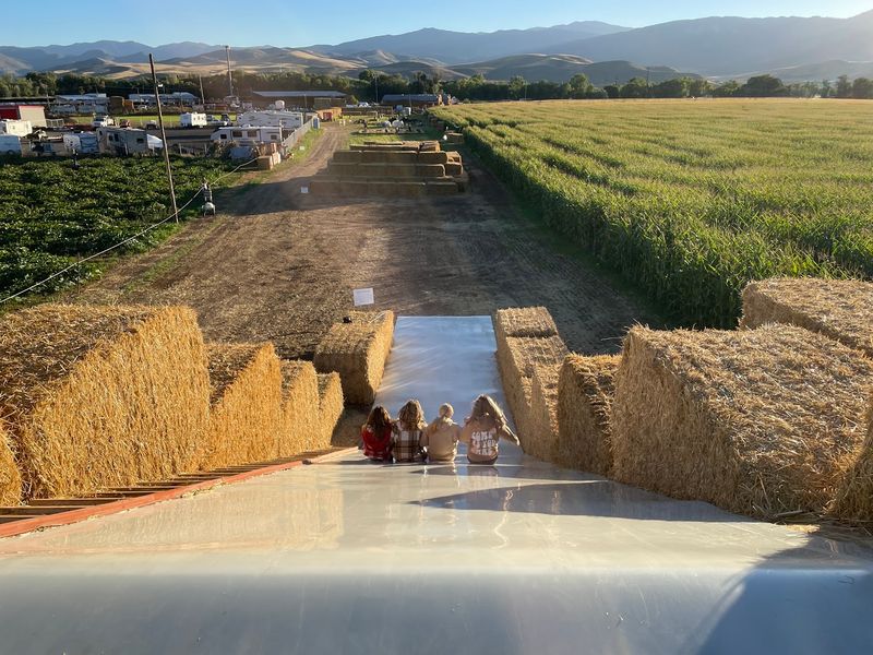 The Morgan Maze