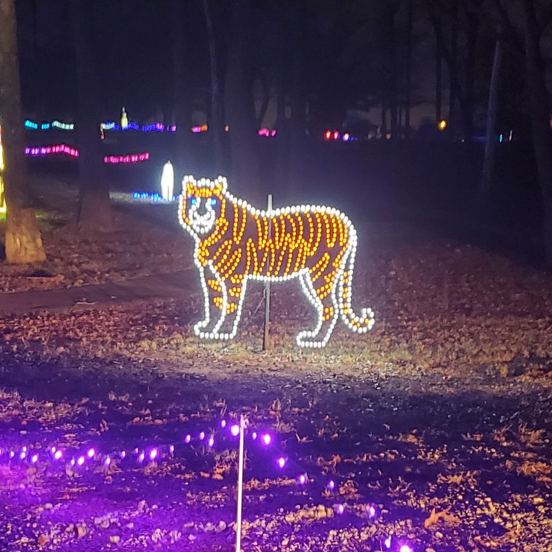 Central Park Southern Lights, Southaven, MS
