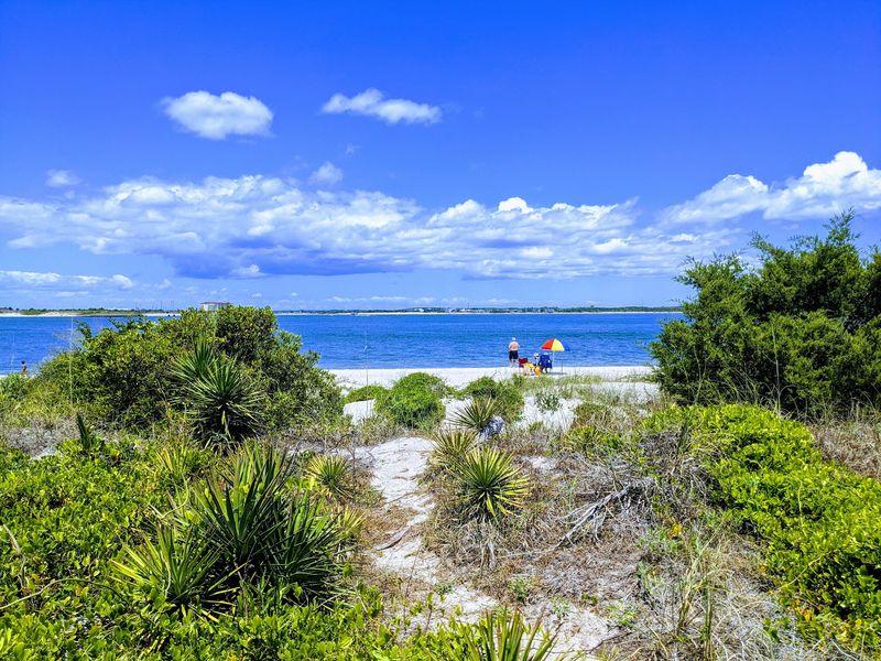 Trails Through Marsh And Dunes Reward Curious Walkers