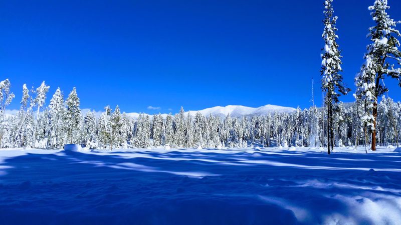 Snow Turns The Whole Valley Into A Playground