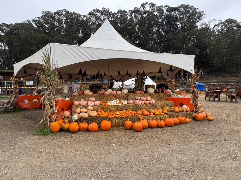 Crafts, Snacks, And Picnic Spots