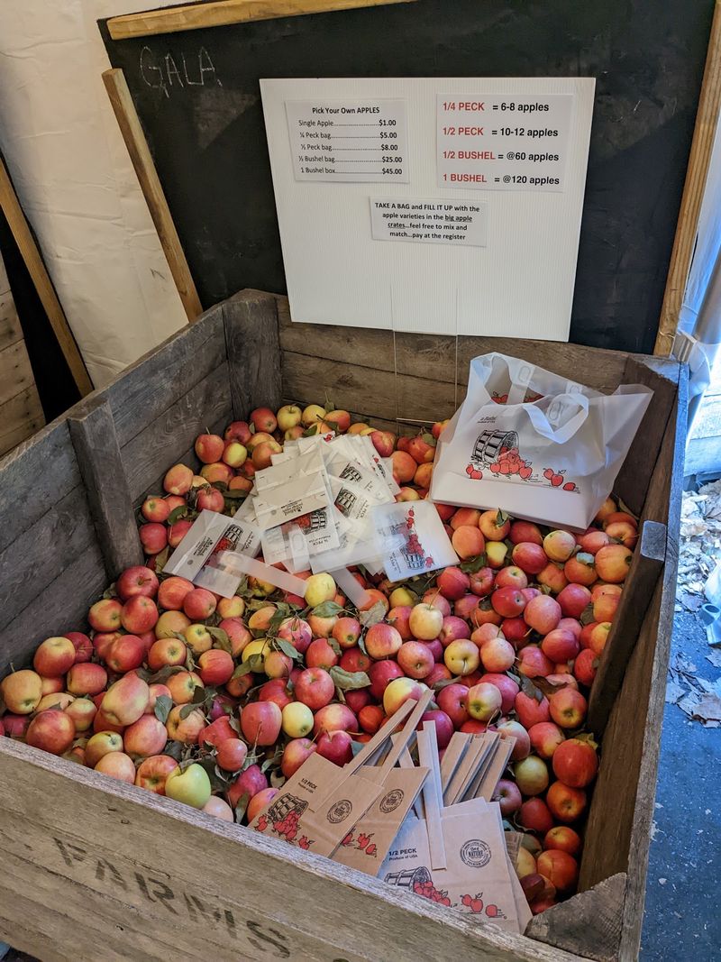 Bag Your Own Apples And Raid The Pantry Shelves