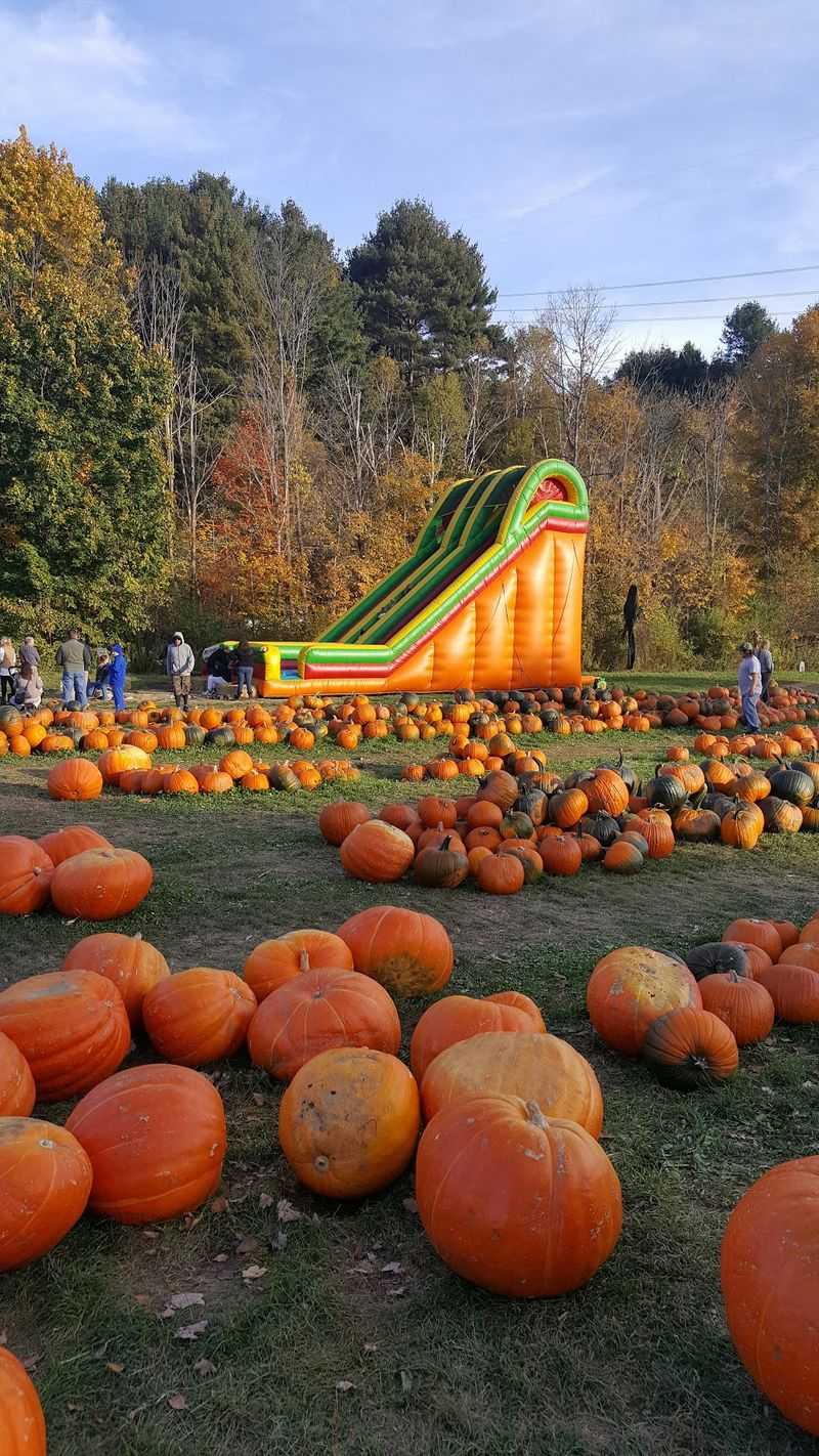 Kids Will Head Straight For The Play Tractor