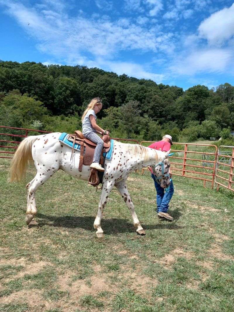 Pony Rides For Little Cowpokes
