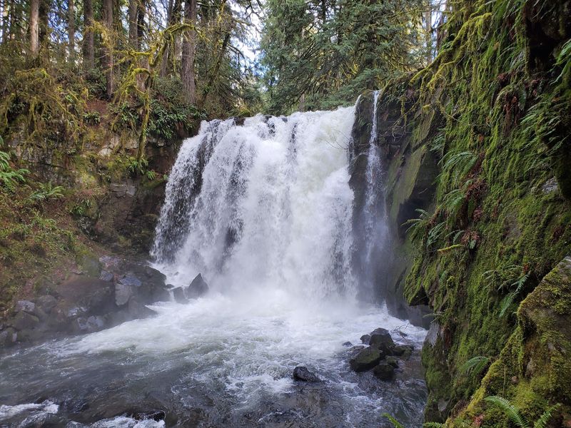 Majestic Falls, McDowell Creek Falls County Park, Lebanon