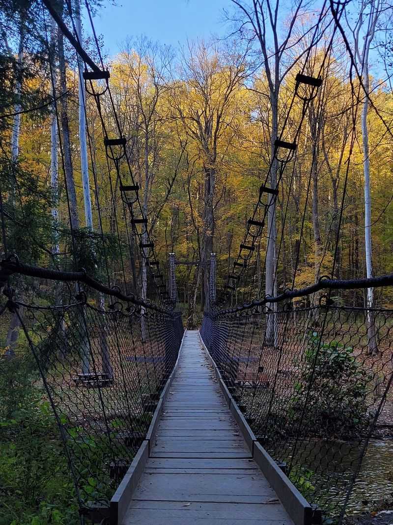 Swinging Bridge and Riverside Routes