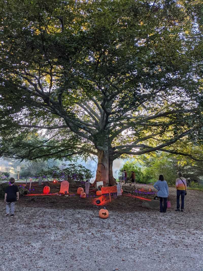 Quieter Nights Make Room For More Families
